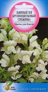 Львиный Зев Снежинка