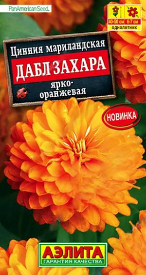 100% махровая! Роскошная цинния от американской компании PanAmerican Seed. Компактное растение, высотой 40-50 см., дает ошеломляющее количество ярких полностью махровых цветов диаметром 6-7 см. Соцветия долго сохраняют декоративность на растении, не боятся любых погодных условий. Серия цинний Дабл Захара рекомендуется для выращивания в клумбах, рабатках, в контейнерах и кашпо.<br>
 <br>
 &nbsp;Циннии – растения теплолюбивые, быстрорастущие, относительно засухоустойчивые. Предпочитают солнечные участки с дренированными почвами среднего плодородия, нейтральной кислотности. В южных регионах возможен безрассадный способ выращивания.<br>