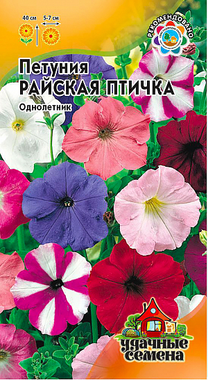 Семена Петуния Райская Птичка.
Смесь многоцветковых сортов петуний высотой до 40 см. Растения компактные, сильноветвящиеся, прочные, устойчивы к неблагоприятным факторам внешней среды. Цветут продолжительно все лето до самых заморозков. Цветки очень ярких, насыщенных окрасок, 5,5-6,5 см в диаметре. Петунии светолюбивы и достаточно засухоустойчивы. Предпочитают легкие, плодородные, хорошо дренированные почвы. Выращивают рассадным способом. Многоцветковые петунии -это яркие цветники, рабатки и бордюры в вашем саду.