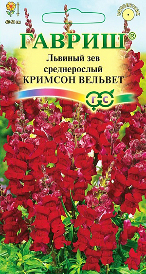 Семена Львиный зев Кримсон вельвет среднерослый.
Декоративное растение из семейства Норичниковые, культивируемое как однолетник, высотой 40-60 см. Цветет с конца июня до поздних заморозков. Цветки крупные, собраны в кистевидные соцветия насыщенно-красной окраски. Холодостоек, светолюбив, к почвам нетребователен, в засушливый период нуждается в поливе. Выращивают рассадным способом. Посев проводят с начала марта до середины апреля. Всходы появляются через 8-12 дней. Рассаду высаживают во второй половине мая с расстоянием между растениями 20 см. Используется для посадки на клумбах, в рабатках и миксбордерах, а также для получения срезки (львиный зев стоит в воде до двух недель).