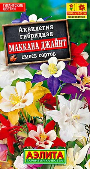 Семена Аквилегия Маккана Джайнт. Эффектная группа аквилегий с цветками гигантских размеров. Высокорослые кусты (70-80 см.) обильно цветут в конце весны – начале лета. Цветки с длинными прямыми шпорцами, изящные и легкие, несмотря на огромный размер. Они направлены преимущественно вверх и почти никогда не бывают поникшими. Цветы сохраняют свои характерные особенности при семенном размножении. Засушенные цветки не выцветают и не блёкнут. Их используют при создании флористических картин.<br>
 <br>
 &nbsp;Аквилегия предпочитает полутенистые участки с умеренно влажными, плодородными почвами. При достаточном увлажнении ее можно высаживать на солнечных участках. Здесь растения немного мельчают, а период цветения укорачивается.<br>
 <br>
 <br>
 <br>
 <br>