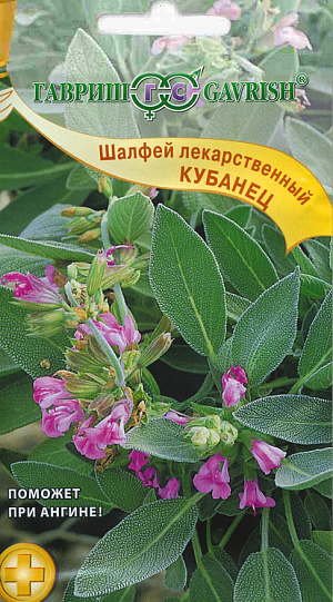 Шалфей лекарственный Кубанец