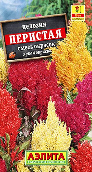Семена Целозия Перистая смесь окрасок.
Высокорослый летник с разветвленным кустом около 70 см. Верхушки побегов венчают крупные, красивые метельчатые соцветия примерно 10 см в высоту. Яркие, «пылающие» окраски соцветий оживляют солнечные садовые цветники. Пышные султаны хороши в свежих букетах и в зимних аранжировках в засушенном виде. Агротехника. Выращивают рассадным способом. С появлением одного-двух настоящих листьев сеянцы пикируют в отдельные горшочки. В открытый грунт рассаду высаживают, когда минует опасность заморозков. Целозия хорошо развивается на плодородных, нейтральных по кислотности, дренированных почвах. Необходимо солнечное местоположение с защитой от ветров. 