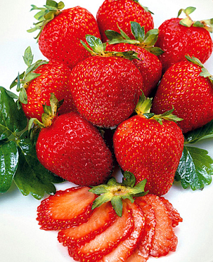 Саженцы Клубники (Земляники) садовой Медовая