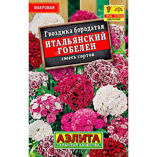 Семена Гвоздика Итальянский гобелен смесь