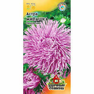 Семена Астра Милашка, однолетняя