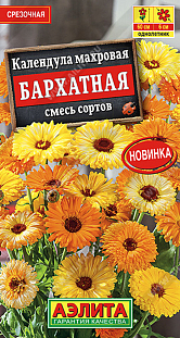 Семена Календула махровая Бархатная, смесь окрасок