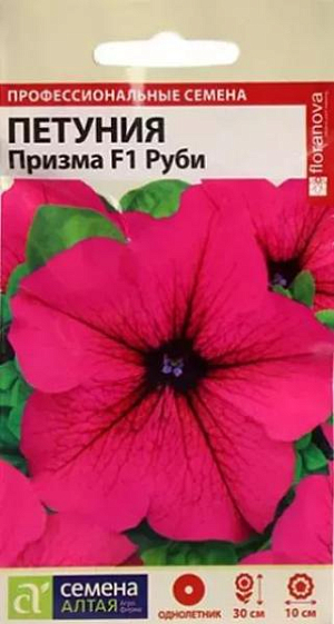 Петуния Призма Руби F1<br>
 <br>
 Раннецветущий экстремально крупноцветковый гибрид. Формирует хорошо ветвящийся компактный кустик, не требует формировки. Цветки насыщенно-пурпурного цвета с темными прожилками, очень долго сохраняют декоративность на растении, устойчивы к непогоде. Хорошо смотрится в массовых посадках и цветочных композициях, подходит для вазонов и балконных ящиков. Высота растения: 30-40 см Ширина растения: 30-40 см Диаметр цветка: 10-13 см. <br>
 <br>
Время до появления всходов: 3-5 дней Перевалка: производится через 3-4 недели от всходов. Объем индивидуальных емкостей не менее 0,5 л. При прорастании корней через дренажные отверстия перевалка в больший объем грунта Время высадки в открытый грунт: май-июнь, не менее 6-7 недель от посева Посадочное расстояние: 30-40 см Период цветения: май-сентябрь, с 9-11 недели от посева, в условиях длинного светового дня может зацветать на 1-2 недели раньше Уход: первую подкормку проводят через 10-14 дней от появления всходов комплексным минеральным удобрением, далее – 1 раз в 7 дней. В начале бутонизации из подкормок убирают азот. Оптимальная температура для выращивания +16…18°С Внимание! Семена дражированные, оболочку драже не разрушать, она растворяется при поливе!