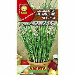 Семена Лук душистый Китайский чеснок