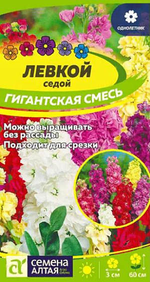 Семена Левкой Гигантская Смесь окрасок&nbsp;<br>
 <br>
 Великолепный красивоцветущий однолетник! Искусно подобранная смесь сортов левкоя высотой до 60 см. Стебли и листья растений темно-зеленые с сероватым или серебристым опушением, почему и кажутся седыми. Цветки махровые различной окраски с очень ярким ароматом собраны в рыхлые соцветия в виде кисти или колоса. Растение станет прекрасным украшением любого садового участка или цветника: широко используется для оформления клумб, выгодно смотрится в бордюрах и рабатках, подходит для срезки. Светолюбивое, холодостойкое растение. Предпочитает открытые солнечные, хорошо проветриваемые участки с умеренно влажными рыхлыми суглинистыми почвами с примесью извести.<br>