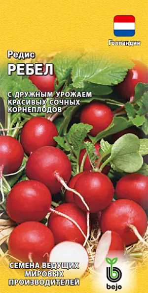 Семена Редис Ребел