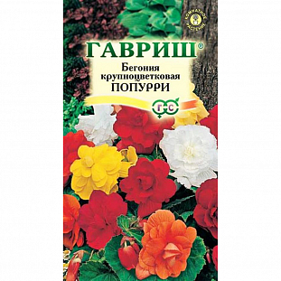 Бегония Попурри клубневая крупноцветковая смесь F1 Бегония Попурри клубневая крупноцветковая смесь F1