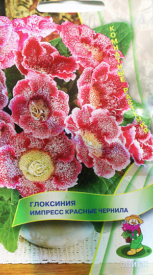 Семена Глоксиния Импресс красные чернила. Эффектные граммофончики с красными крапинками.&nbsp;При благоприятных условиях одновременно появляются до 20 бутонов на одном растении. Хорошо растет в достаточно освещенных местах, но без прямых солнечных лучей.&nbsp; Полив постоянный, обильный; избегая попадания воды на листья и цветки, лучше применять полив в поддон.<br>
 <br>
 &nbsp;Почвенная смесь: листовая, торфяная земля, сфагнум, песок в отношении 1:1:1:1. После цветения у растения наступает период покоя.<br>
Посев производят в январе-феврале, землей семена не присыпают, для поддержания постоянной влажности накрывают стеклом или пленкой. При температуре 18-20°C всходы появляются через 14-20 дней. Через месяц сеянцы пикируют, а затем пересаживают в горшки. Растения, полученные из семян, зацветают через 6-7 месяцев.