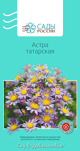 Семена Астра многолетняя Татарская