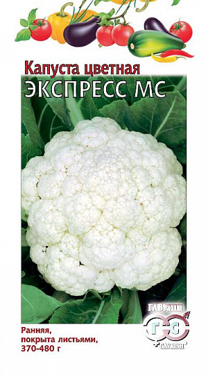 Семена Капуста цветная Экспресс МС