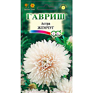 Семена Астра Жемчуг