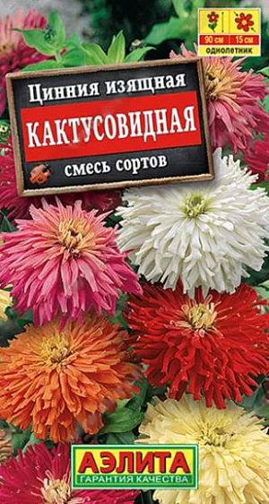 Семена&nbsp;Цинния Кактусовидная смесь сортов.&nbsp;Яркая смесь с красивыми соцветиями кактусовидной формы. Отличается крупными размерами цветков (диаметром 12-15 см.) и куста в целом – высота растений 80-90 см, ширина 35-40 см. Благодаря высокорослости, смесь рекомендуется для оформления заднего плана сборных цветников. Эффектные, густомахровые соцветия сохраняют декоративность на кусте около 30 дней. Срезка сохраняет свежесть в букете 7-10 дней.<br>
 <br>
 &nbsp;Циннии – растения теплолюбивые, быстрорастущие, относительно засухоустойчивые. Предпочитают солнечные участки с дренированными почвами среднего плодородия, нейтральной кислотности. В южных регионах возможен без рассадный способ выращивания.<br>