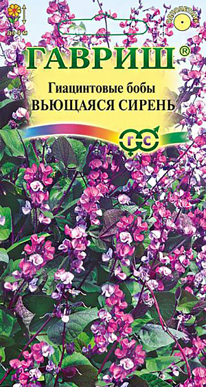 Семена Гиацинтовые бобы Вьющаяся сирень.
Однолетнее вьющееся растение высотой до 4 м из семейства Бобовые. 
Листья крупные, трехлопастные с сердцевидными долями темно-зеленого цвета с фиолетовым отливом. 
Цветет с июля до заморозков. Цветки мотыльковые, собранные в кисти, белой, малиновой и фиолетовой окраски. 
После цветения на растении образуются декоративные плоды — бобы зеленого или фиолетового оттенка, длиной до 6 см, со съедобными семенами. 
Долихос уютно задекорируют любую вертикальную поверхность (заборы, стены, беседки), быстро разрастаясь плотным ковром из листьев и цветов.
Растение светолюбивое и теплолюбивое, хорошо растет только на достаточно прогреваемых местах с рыхлой почвой.
Семена перед посевом скарифицируют (очень аккуратно надрезают кожицу) и высаживают в конце апреля — мае в открытый грунт во влажную почву на расстоянии 15-30 см.
Подросшее растение нуждается в опоре и подвязке. Поливают умеренно, желательно еженедельно подкармливать.