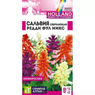 Семена Сальвия сверкающая Редди Фулл микс
