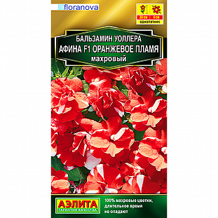 Семена Бальзамин Афина F1 оранжевое пламя махровый