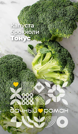 Семена Капуста брокколи Тонус