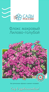 Флокс друммонда махровый лилово-голубой Флокс друммонда махровый лилово-голубой