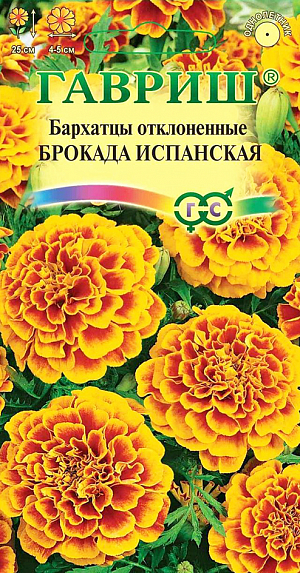 Семена Бархатцы Брокада Испанская отклоненные.<br>
 Яркая серия компактных бархатцев для украшения бордюров, рабаток, вазонов и балконных ящиков. Образует ветвистый кустик высотой 25 см.<br>
 Соцветия диаметром 4-5 см, красно-коричневого цвета с широкой желтой каймой по краю. Цветет с июня до заморозков. <br>
 Бархатцы светолюбивы и теплолюбивы, заморозков не переносят, к почвам нетребовательны, но предпочитают плодородные легкие почвы.<br>
 Посев на рассаду проводят во второй половине марте-начале апреля. Всходы появляются через 4-8 дней после посева, сеянцы пикируют в фазе 2-го настоящего листа.<br>
Рассаду высаживают в начале июня с расстоянием между растениями 30-35 см. Посев в открытый грунт проводят в мае на глубину 1,5-2 см.