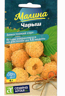 Малина желтая Чарыш