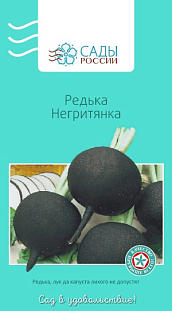 Редька Негритянка Редька Негритянка