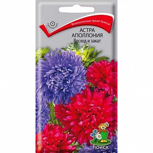 Семена Астра Апполония Восход и закат