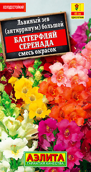 Семена Львиный зев Баттерфляй серенада смесь окрасок.
Бесподобная смесь популярного, ароматного летника с богатой цветовой палитрой. Отличается широко открытыми, довольно крупными трубчатыми цветками. Растения прямостоячие, хорошо кустящиеся, компактные – высотой до 45 см. Соцветия плотные, цветение пышное и продолжительное, с июня до глубокой осени. Используется на клумбах, в рабатках и бордюрах. Хорошо удается в контейнерах и просторных горшках. Подходит для срезки, в воде раскрываются все бутоны. 
Агротехника. Выращивают через рассаду. Семена высевают поверхностно, без заделки, увлажняют из распылителя и накрывают стеклом для поддержания постоянной влажности до всходов. В фазе одной пары настоящих листьев сеянцы пикируют. В фазе 4-5 пар листьев проводят формирующую прищипку. Высадку рассады в открытый грунт проводят со второй половины мая. Посадки размещают на солнечных участках с плодородными, дренированными почвами.