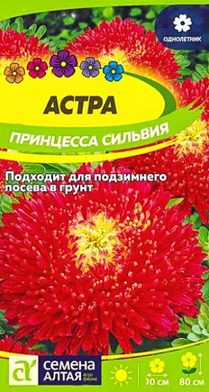 Семена Астра Принцесса "Сильвия" карминно-красная.<br>
Однолетняя астра сортотипа Принцесса. Куст раскидистый, в высоту достигает 80 см. Соцветия плоско-округлые крупные (8-10 см в диаметре) густомахровые, до 20 штук на растении, образованные большим числом трубчатых цветков, окруженных несколькими рядами язычковых. Окраска карминно-красная с переходом к жёлтому глазку в центре соцветия. Используется для посадки в сборные цветники группами, на рабатки – рядами, великолепна в срезке. Холодостойкое, светолюбивое растение, может расти в полутени.&nbsp;Хорошо растет на обычной садовой почве без свежей органики, кислые почвы необходимо нейтрализовать известью. Семена на рассаду высевают в марте-апреле, глубина заделки 0,5 см. Посевы содержат при температуре +15-18°С. Сеянцы пикируют с появлением первой пары настоящих листочков. В открытый грунт рассаду высаживают во второй половине мая. Перед высадкой в открытый грунт её закаливают в течение 1-2 недель, снизив температуру до +10°С. Схема посадки 30×30 см. Возможен посев семян в открытый грунт в конце апреля под временное укрытие на глубину 0,5-1,0 см (с последующим прореживанием всходов), или под зиму (в конце октября) на глубину 3 см. Сверху посевы мульчируют торфом или опилками слоем 3-5 см. Весной посевы раскрывают. Цветение длится с июля до конца сентября.