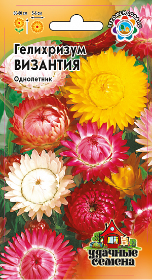 Семена Гелихризум Византия.
Травянистое растение семейства Астровые. Кусты слегка раскидистые, достигают высоты 60-80 см. Цветки собраны в соцветия - корзинки, имеющие очень яркие и многочисленные листочки обертки белой, розовой, желтой, оранжевой или красной окраски. Цветет обильно с июля до заморозков. Предпочитает открытые солнечные места. Выращивают рассадным способом. Всходы появляются через неделю после посева. Используется в озеленении (клумбах, рабатках), а также на срезку в качестве лучшего сухоцвета.