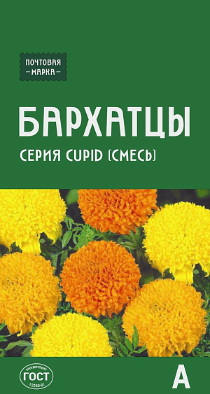 Семена Бархатцы прямостоячие серия Cupid (смесь)

Популярная смесь, широко используемая в городском и парковом озеленении. Растения компактные, с крупными махровыми соцветиями (до 9 см в диаметре) лимонной, золотисто-желтой, оранжевой окраски. Теплолюбивые и засухоустойчивые. Особенно хороши в массивных и бордюрных посадках. Можно высевать в грунт весной и под зиму. Отпугивают нематод.
