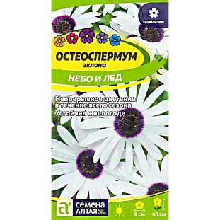 Семена Остеоспермум Небо и Лед Семена Остеоспермум Небо и Лед
