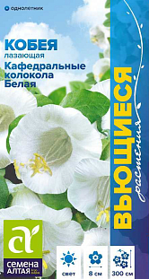 Кобея Кафедральные колокола Лазающая белая Кобея Кафедральные колокола Лазающая белая