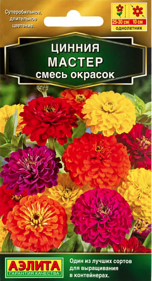 Семена Цинния Мастер смесь окрасок.
Однолетник
Высота 40 см
Диаметр 7 см
Новая смесь сортовой циннии порадует вас почти 100% махровостью своих цветков. Кусты крепкие, раскидистые, высотой 40 см. Цветки очень крупные, густомахровые. Каждый цветок держится на растении до 35 дней, что придает всему растению очень декоративный вид. Используют для посадки в пестрые цветники, на клумбы, рабатки и для срезки. Срезанные цветы долго стоят в воде.
Посев: март-апрель на рассаду. Через 3-4 недели после всходов сеянцы пикируют. В открытый грунт рассаду высаживают, когда минует угроза заморозков. Расстояние между растениями 40 см. Предпочитает солнечные, защищенные от ветров, теплые участки с дренированной, нейтральной, богатой гумусом и минеральными элементами почвой.
Уход: При продолжительной засухе требуется полив. Циннию подкармливают каждые 2-4 недели раствором комплексного минерального удобрения «АЭЛИТА-ЦВЕТОЧНОЕ» (содержит комплекс NРK, обогащённый широким спектром микроэлементов), обеспечивающим необходимое питание цветочным культурам. 
Цветение: с июля до заморозков. Регулярное удаление увядших соцветий способствуют более пышному цветению. Цинния хорошо сочетается с ноготками, бархатцами, мелкоцветковыми хризантемами, вербеной.