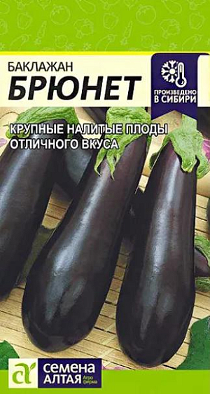 Семена Баклажан Брюнет