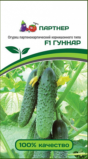 Семена Огурец Гуннар F1
