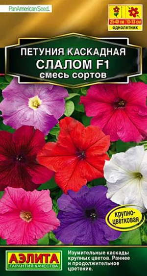 <div>
 Семена Петуния Каскадная слалом F1, смесь сортов.
</div>
 <br>
 Красивейшая крупноцветковая петуния американской селекции от компании PanAmerican Seed. Взрослые растения, высаженные в открытый грунт, формируют кусты высотой&nbsp;25-40 см и шириной до 30 см. Каскады изумительных крупных цветов, диаметром 10-13 см., будут украшать сад весь сезон. Цветение раннее и продолжительное. Гибриды идеально подойдут для создания смешанных и одиночных цветочных композиций.<br>
 *Высота и ширина растений зависит от условий выращивания.<br>
 <br>
 &nbsp;Семена в гранулах! Гранулы располагают на поверхности почвы, не заделывая их, хорошо увлажняют из распылителя. При попадании влаги на гранулу оболочка должна раствориться. Посевы накрывают стеклом для сохранения постоянной влажности до полных всходов. Февральским посевам требуется дополнительная подсветка.<br>
 <br>
 <br>
 <br>
 <br>
 <br>