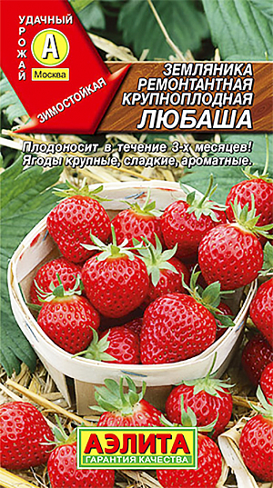 Семена Земляника (клубника) ремонтантная крупноплодная Любаша
