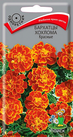 Семена Бархатцы Хохлома Красные (тагетес). Изобилие ярких цветов.&nbsp;Куст густооблиственный высотой до 40 см. Побеги прочные, зелёные. Соцветия махровые, диаметр 4-5 см, махогоново-красные. Цветёт с июня по сентябрь. Используют для клумб, рабаток, бордюров и украшения балконов.<br>
 <br>
 <br>
&nbsp;Растение светолюбивое, засухоустойчивое. Предпочитает плодородные и солнечные места (может расти при небольшом затенении). Размножают посевом семян в марте-апреле. Глубина заделки семян 0,5-1 см. При температуре почвы +18°C всходы появляются через 7-15 дней. Сеянцы содержат при умеренной температуре, пикируют в фазе 2-х настоящих листьев. Высаживают в открытый грунт в конце мая - начале июня (когда минует угроза поздневесенних заморозков). Расстояние между растениями при посадке 15-20 см.&nbsp;