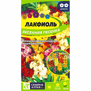 Семена Лакфиоль Весенняя песенка