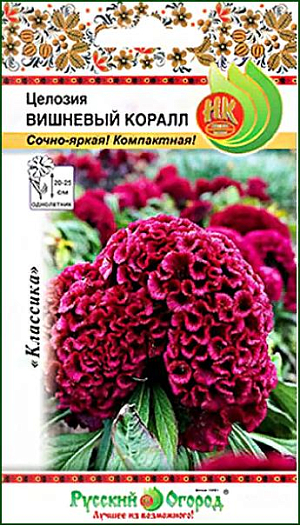 Семена Целозия Вишневый коралл.<br>
 <br>
 Целозия Вишневый коралл – один из самых компактных сортов! Насыщенный пурпурный цвет с рубиновым оттенком будет смотреться в саду очень торжественно и необычно.<br>
 <br>
 Целозия Вишневый коралл будет отлично сочетаться со стандартными соцветиями целозий-«гребешков». Также её высаживают в миксбордерах или рядом с зелёными растениями (хвойники и кустарники, хосты и лианы, выращиваемые почвопокровно).&nbsp;<br>
 <br>
 Целозия Вишневый коралл высаживается ранней весной на рассаду,&nbsp;в марте – начале апреля. Посев поверхностный, всходы появляются через 1 – 2 недели. Температура должна находиться на отметке 20°С. В грунт высаживают после возвратных весенних заморозков, то есть в конце мая – начале июня. Развивается достаточно быстро, цвести начинает в середине лета. Целозия предпочитает солнечное местоположение и достаточно лёгкие почвы.&nbsp;<br>
 <br>
 Культура свето- и теплолюбива. Выращивают через рассаду. Посев поверхностный, март -апрель. При оптимальной температуре 20С всходы появляются через 7-14 дней. Высадка в открытый грунт, когда минует угроза возвратных заморозков. Размещают на легких, достаточно плодородных почвах на солнечном месте.<br>
 <br>
 <br>