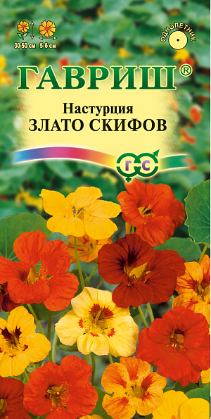 Семена Настурция Злато скифов.
Однолетнее травянистое растение семейства Настурциевые, побеги длиной 30-50 см. Цветет обильно с июня до заморозков. Цветки разнообразной окраски, 5-6 см в диаметре. Теплолюбива и светолюбива. Предпочитает умеренно плодородные, влажные почвы. Выращивают рассадным способом или прямым посевом в открытый грунт. Для получения рассады семена высевают в апреле в горшки (по 2-3 в лунку). Всходы появляются через 10-14 дней. В открытый грунт растения высаживают, не нарушая земляной ком в конце мая-начале июня на расстоянии 30 см. Посев в открытый грунт проводят в мае предварительно намоченными в течение суток семенами по 3-4 шт. в лунку. Используется для посадки в бордюрах, на рабатках, а также в контейнеры и вазы.