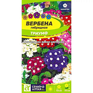 Семена Вербена гибридная Триумф