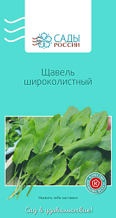 Щавель широколистный Щавель широколистный