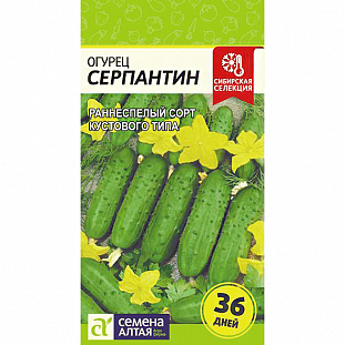 Семена Огурец Серпантин
