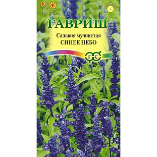 Сальвия мучнистая Синее небо Сальвия мучнистая Синее небо
