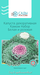 Капуста декоративная Камом Белая и розовая Капуста декоративная Камом Белая и розовая